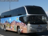 Neoplan CityLiner Euro6 / Andino Tours - World Wide Gruppenreisen GmbH (Alemania) Neoplan CityLiner Euro6 / Andino Tours - World Wide Gruppenreisen GmbH (Alemania)
