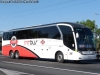 Neobus New Road N10 380 / Scania K-400B eev5 / MT Bus