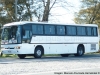 Marcopolo Viaggio GV 1000 / Scania K-113CL / Buses Tepual