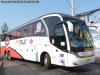 Neobus New Road N10 380 / Scania K-400B eev5 / MT Bus