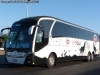 Neobus New Road N10 380 / Scania K-410B / MT Bus