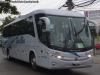 Marcopolo Paradiso G7 1050 / Mercedes Benz O-500RS-1836 / Buses Bio Bio