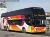 Young Man Skyliner JNP6137S / Los Libertadores Young Man Skyliner JNP6137S / Los Libertadores