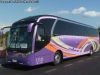 Neobus New Road N10 360 / Scania K-360B eev5 / Buses Díaz