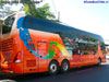 Young Man Skyliner JNP6137S / Pullman Bus