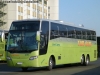 Busscar Vissta Buss Elegance 380 / Mercedes Benz O-500RS-1836 / Tur Bus