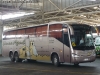 Irizar Century III 3.90 / Mercedes Benz O-500RSD-2442 / Línea Azul