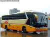 King Long XMQ6130Y Euro4 / Buses JAC