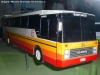 Maqueta Colección Jedimar | Nielson Diplomata Serie 200 / Scania BR-116 / Tur Bus