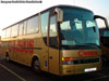 Kässbohrer Setra S-315HDH / OroBus (Tenerife, España) Kässbohrer Setra S-315HDH / OroBus (Tenerife, España)