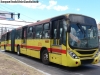 Marcopolo Gran Viale / Volvo B-10M / Línea C-2 Terminal Ofelia - Playón de la Marín (Quito - Ecuador) Marcopolo Gran Viale / Volvo B-10M / Línea C-2 Terminal Ofelia - Playón de la Marín (Quito - Ecuador)