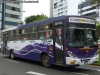 Metalpar Puelche / Mercedes Benz OF-1721 / ETRASCPSA Línea E San Juan de Lurigancho - Villa El Salvador (Lima - Perú) Metalpar Puelche / Mercedes Benz OF-1721 / ETRASCPSA Línea E San Juan de Lurigancho - Villa El Salvador (Lima - Perú)