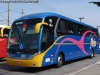 Neobus New Road N10 380 / Scania K-360B eev5 / Rápido Expresso Fênix Viação (São Paulo - Brasil) Neobus New Road N10 380 / Scania K-360B eev5 / Rápido Expresso Fênix Viação (São Paulo - Brasil)