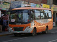 Wings City Bus 777 (DongFeng) / Servicio Urbano Tacna (Perú)