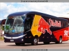 Marcopolo Paradiso G7 1200 / Scania K-340B / Team A. Mattheis Motorsports (Al servicio de Red Bull Racing Brasil) Marcopolo Paradiso G7 1200 / Scania K-340B / Team A. Mattheis Motorsports (Al servicio de Red Bull Racing Brasil)
