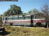 Ciferal Paulista / Scania B-76 / Línea Colón Oriente (Santiago Pre-Licitación 1992)