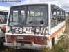 Marcopolo Junior / Mercedes Benz LO-608D / Línea N° 6 Vía Láctea Punta Arenas Marcopolo Junior / Mercedes Benz LO-608D / Línea N° 6 Vía Láctea Punta Arenas