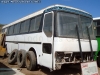 Mercedes Benz O-371R / Particular