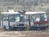 CASA Inter Bus / DIMEX 433-160 / Tricely S.A.