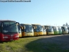 Unidades Holding Tur Bus Dadas de Baja (Talca)
