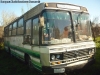 Caio Gabriela / Mercedes Benz LPO-1113 / Particular Caio Gabriela / Mercedes Benz LPO-1113 / Particular