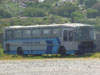 Nielson Diplomata Serie 200 / Scania BR-116 / Cóndor Bus