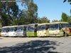 Unidades del Holding Tur Bus dadas de baja en Talca