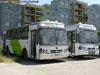 Caio Alpha / Mercedes Benz OH-1420 / Ex Unidades Auxiliares Buses Metropolitana S.A.