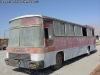Marcopolo III / Mercedes Benz OH-1316 / Particular Marcopolo III / Mercedes Benz OH-1316 / Particular