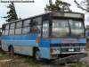 Caio Amelia / Mercedes Benz OF-1114 / Buses María José