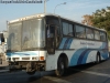 Busscar Jum Buss 340 / Volvo B-58E / Buses Golondrina