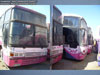 Busscar Jum Buss 380 / Volvo B-10M / Pullman Bus