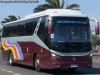 Golden Dragon Bus XML6126J13 / Trans Barrios