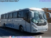 Induscar Caio Foz Solar / Mercedes Benz O-500R-1830 BlueTec5 / Pullman Tim Lober