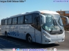 Induscar Caio Solar Foz / Mercedes Benz O-500R-1830 BlueTec5 / Pullman Tim Lober Induscar Caio Solar Foz / Mercedes Benz O-500R-1830 BlueTec5 / Pullman Tim Lober