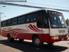 Comil Galleggiante 3.40 / Mercedes Benz OF-1620 / Trans Luján (Bolivia)