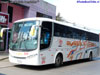 Comil Campione 3.45 / Mercedes Benz O-500R-1830 / Buses Pacheco