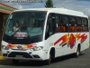 Marcopolo Senior / Mercedes Benz LO-916 BlueTec5 / Buses Curacautín Express
