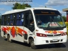 Maxibus Astor / Mercedes Benz LO-915 / Buses Curacautín Express