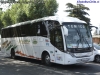 Neobus New Road N10 360 / Mercedes Benz OF-1724 BlueTec5 / IGI Llaima