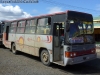 Marcopolo Torino / Mercedes Benz OF-1115 / Servicio Rural Carahue - Puerto Domínguez