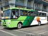 Busscar El Buss 340 / Mercedes Benz OF-1318 / Sol del Pacífico