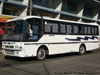 Busscar El Buss 320 / Mercedes Benz OF-1318 / La Porteña