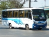 Neobus Thunder Plus / Volksbus 9-150EOD / Buses Paine