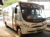 Busscar Micruss / Mercedes Benz LO-914 / NAR Bus