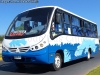 Neobus Thunder + / Agrale MA-8.5TCA / Línea Melón Quillota LIMEQUI