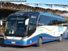 Neobus New Road N10 360 / Scania K-360B eev5 / EME Bus