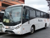 Marcopolo Ideale 770 / Mercedes Benz OF-1722 / Buses Delsal