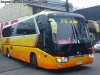 King Long XMQ6130Y Euro4 / Buses JAC
