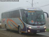 Marcopolo Viaggio G7 1050 / Mercedes Benz O-500RS-1836 / Buses TJM